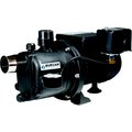 Burcam 0.75 HP Noryl Shallow Well Jet Pump 506221P